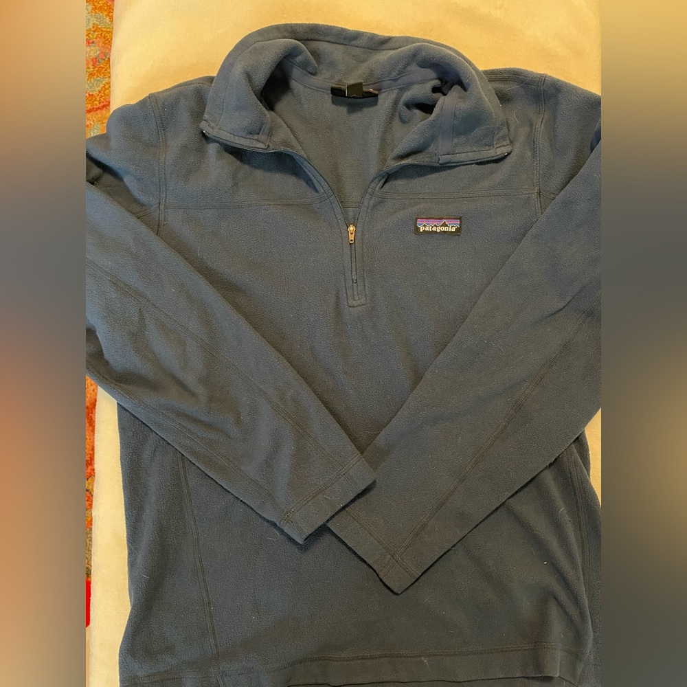 Patagonia Blue Fleece Pullover